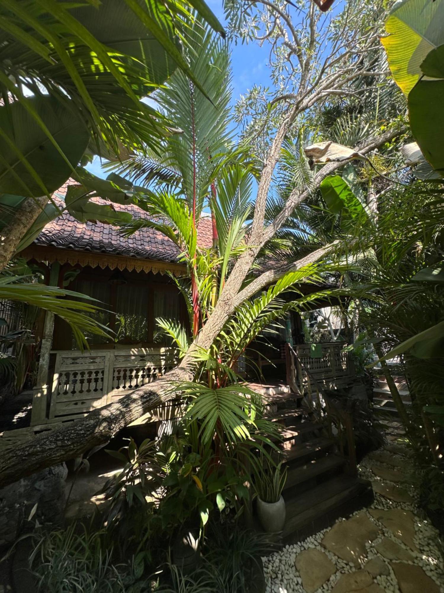 Umakayu Joglo Villa Canggu - Boutique Hotel Extérieur photo